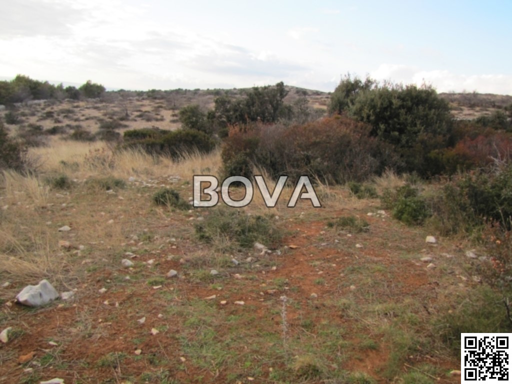 Poljoprivredno zemljište 600 m2 – Vir *PRVI RED DO GRAĐEVINSKE ZONE* *POGLED MORE* (ID-2017)